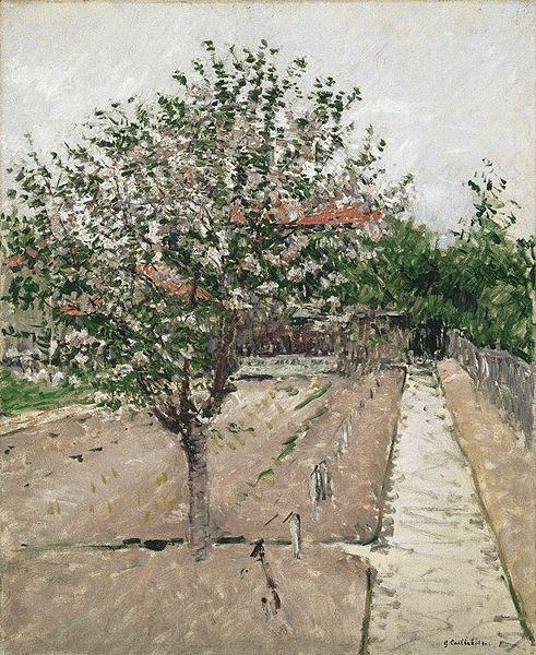 Gustave Caillebotte Apple Tree in Bloom oil painting image